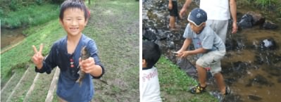 ヤマメつかみ取りの画像