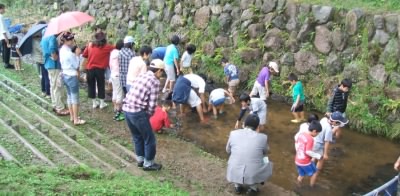 ヤマメつかみ取りの画像