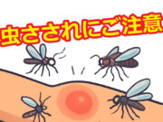虫さされにご注意を！