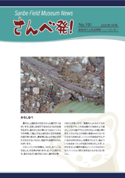 「さんべ発！」2025年7月号