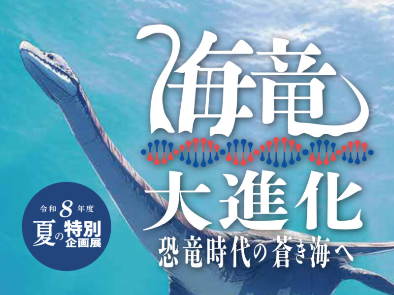 企画展 | 展示・イベント | 島根県立三瓶自然館サヒメル